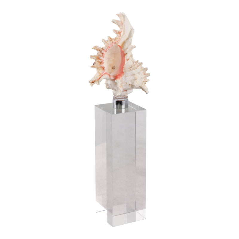 Oakden Coastal Seashell Sculpture Figurine With Crystal Base - Decorations For Living Room And Decorative Home Objects - Ivory/Clear