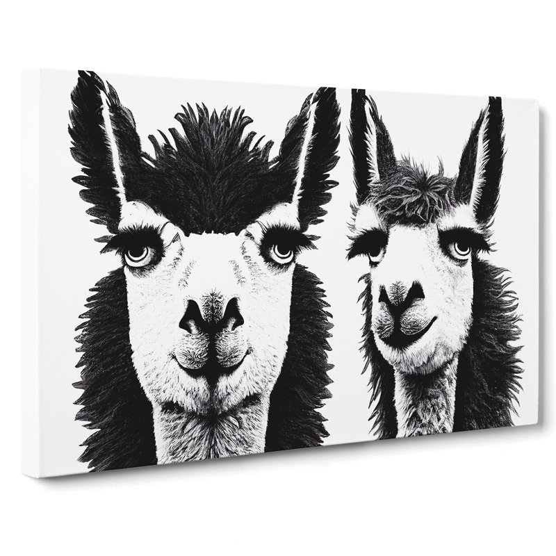 Flawless Llamas - Wrapped Canvas, 40cm H x 60cm W x 3cm D