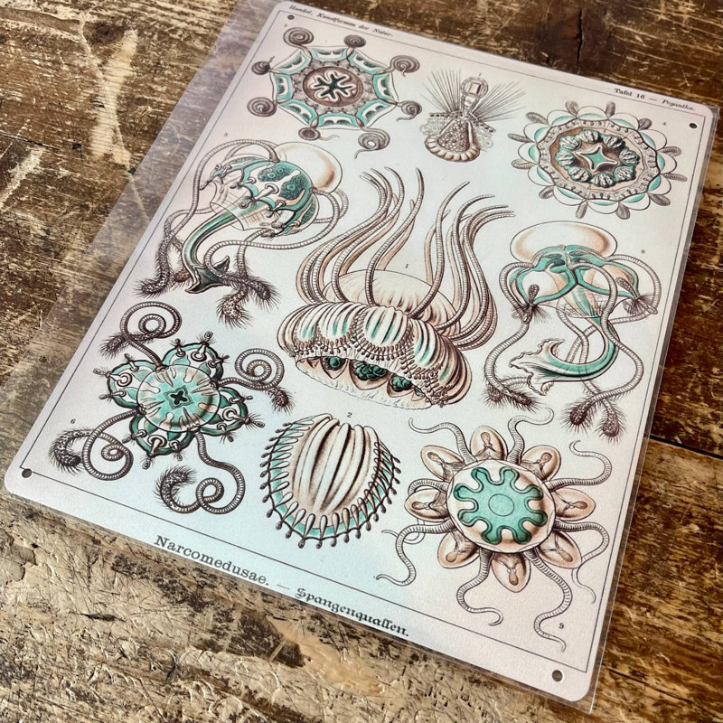 Handmade Nautical & Beach Wall Decor on Metal, 40cm H x 28cm W