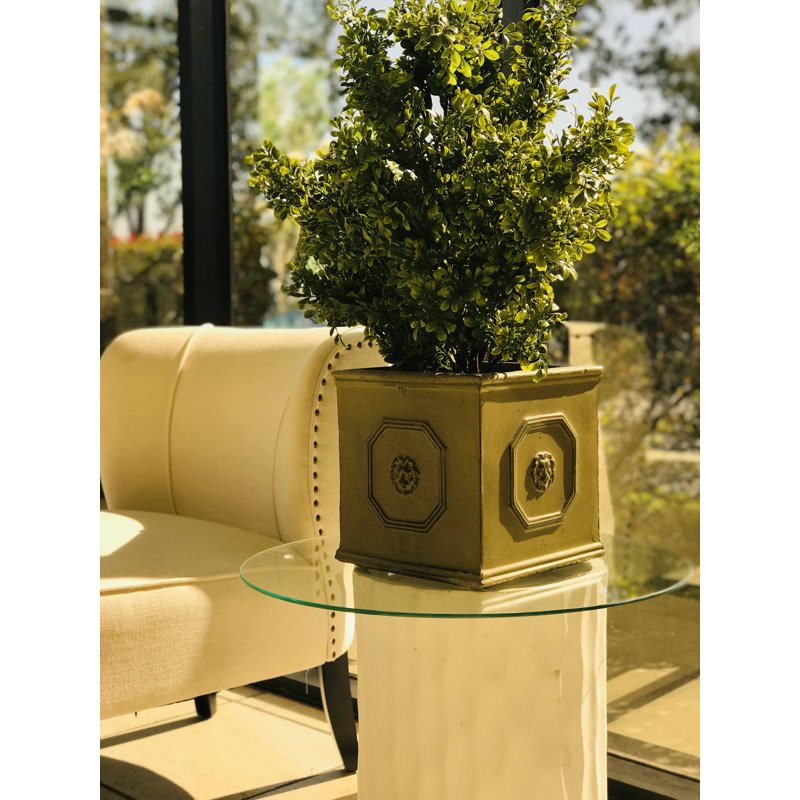 Boîte à fleurs en béton Hillevi, H 12,6 po x l 12,6 po x P 12,6 po, Pierre brune