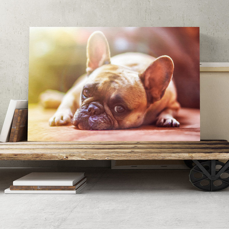 Wrapped Canvas Print, 50cm H x 76cm W