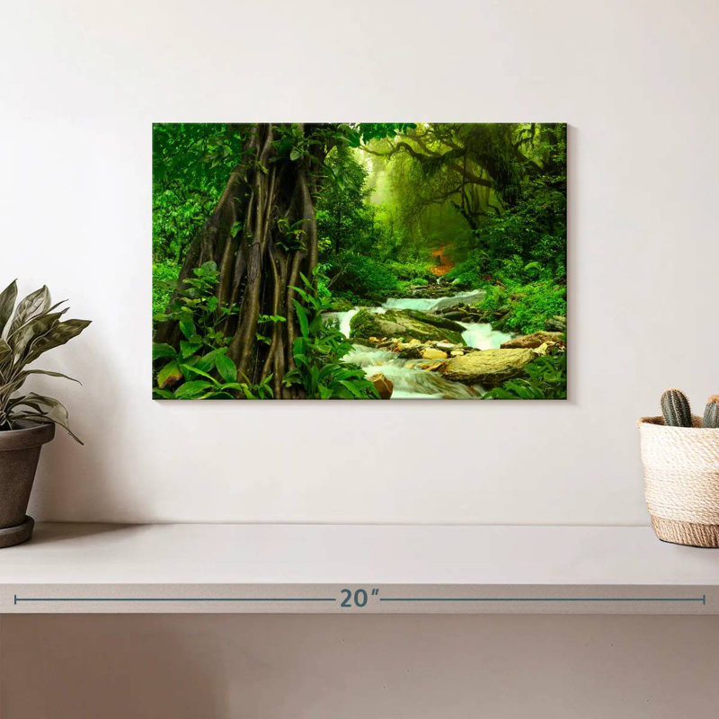 Alvord Enchanting Deep Rainforest, H 8 po x l 12 po