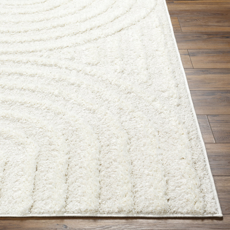 Bartletto Beige Shag Area Rug, Runner 2'8" x 10', Beige/White