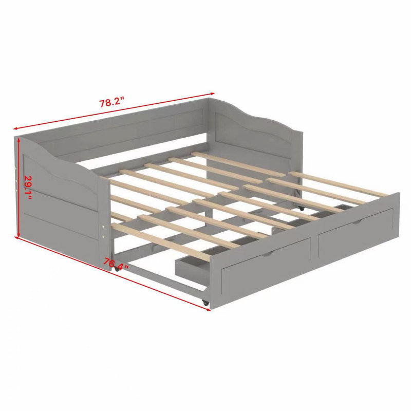 Ioachim Daybed, Gray