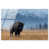 High-Gloss Acrylic Print is unavailable