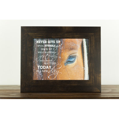 " Never Give Up Horse "