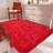 4x6 ft Red Shag Area Rugs for Living Room, Non-Slip Indoor Modern Plush Shag Carpets-552286421
