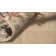 Shiflet Performance Southwestern Rug