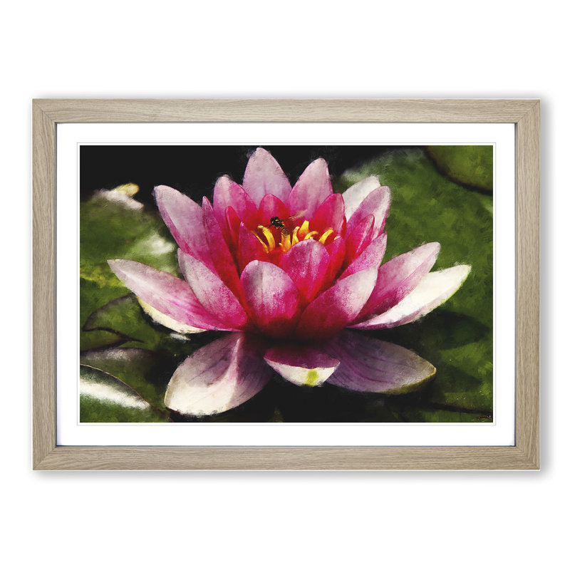 Pink Water Lily Flower Vol.3 - Framed Print, 27cm H x 36cm W x 2cm D, Oak Framed