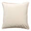 Velvet Pillow Cover & Insert-488241167-488241158