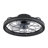 19'' Dimmable Caged Ceiling Fan with LED Lights
