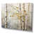 Toile tendue