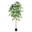 Ficus artificiel 6 pi avec tronc naturel en pot noir pour la décoration intérieure et extérieure