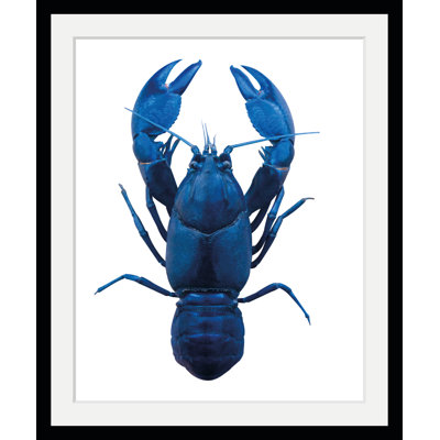 Lobster - Single Picture Frame Print