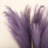 Silk Pampas Grass Arrangement-239087791-213036443