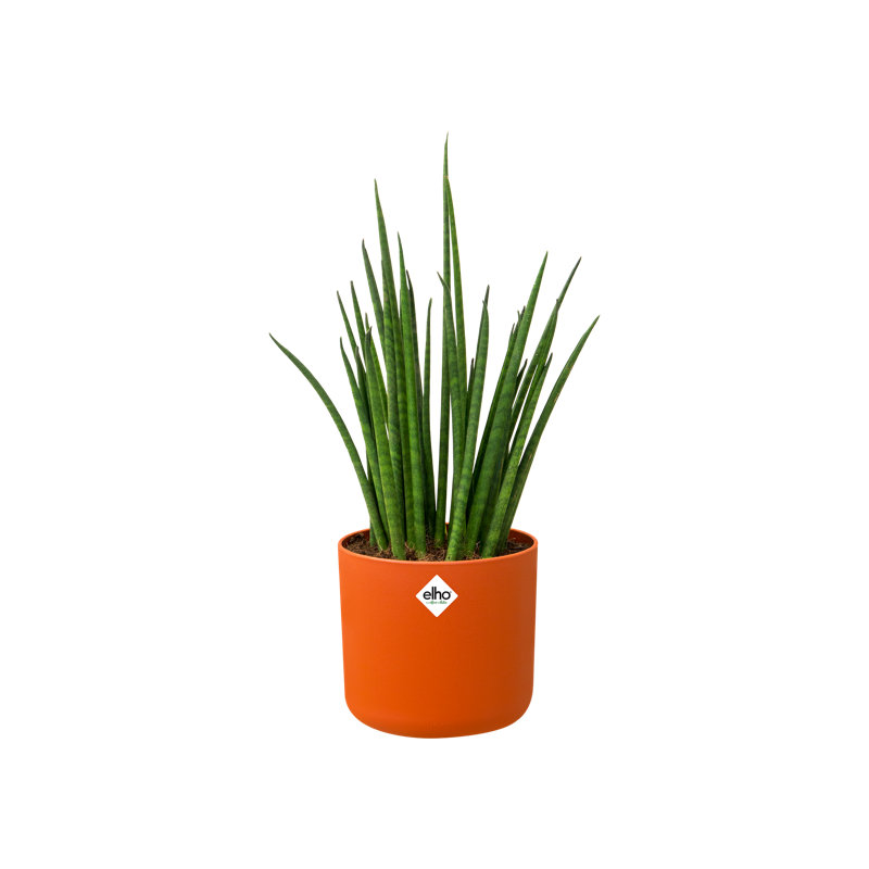 B.For Pot Planter, Brique, 12.5cm H x 13.8cm W x 13.8cm D