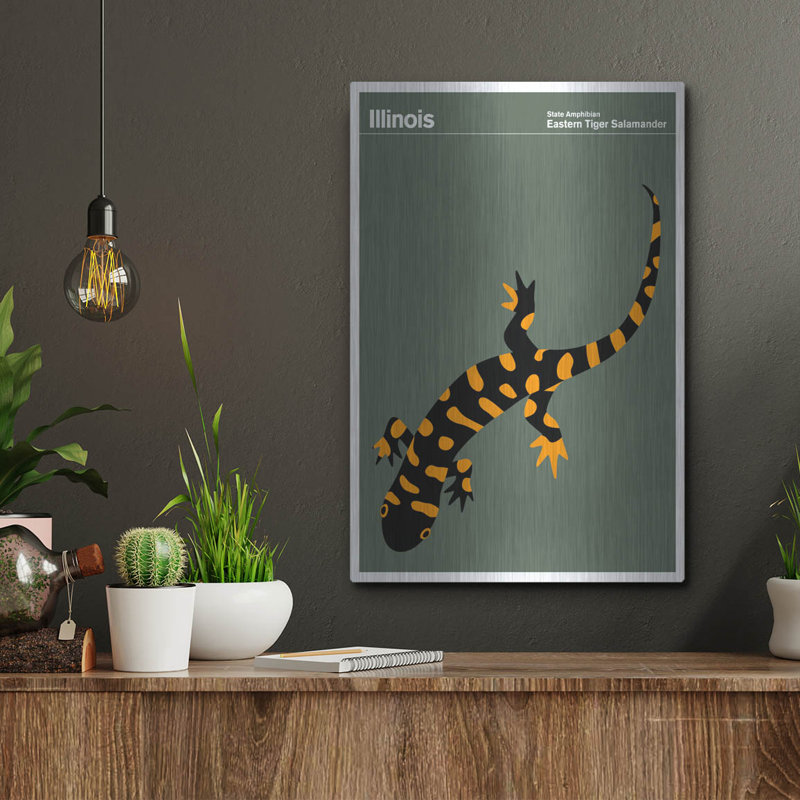 "State Posters IL" par Print Collection, H 16 po x l 12 po