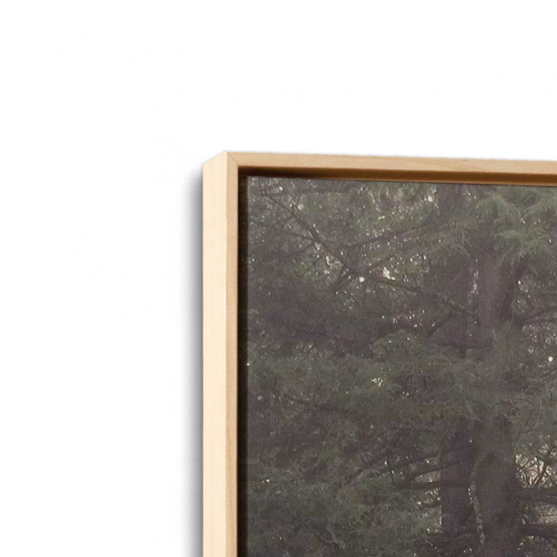 «Enlighten Your Soul» par Lori Deiter, reproduction d'art, 20 W x 30 H, Tan, Framed Canvas