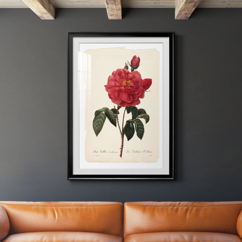 Red Botanical III - cadre photo, impression, H 26,5 po x l 36,5 po x P 1,5 po, Noir