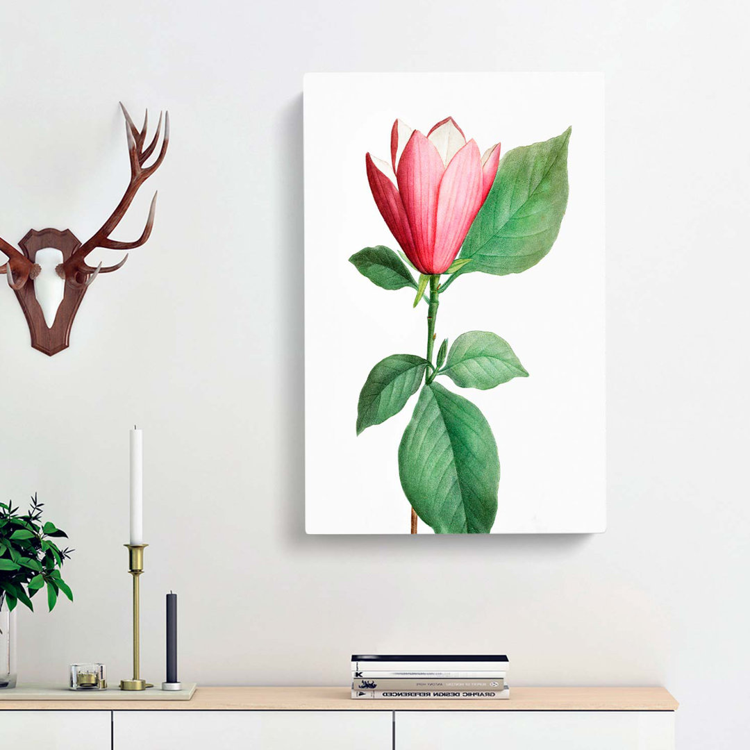 Japanese Pink Magnolia Flower by Pierre-Joseph Redoute - Wrapped Canvas