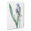 Dalmatian Iris Flower by Utagawa Kunisada - Wrapped Canvas-55342591