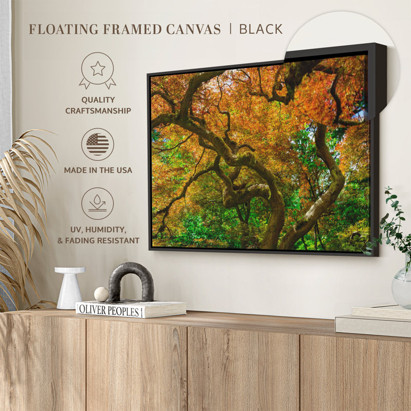 Mossy Maple Tree Canvas Print, 9" H x 13" W
