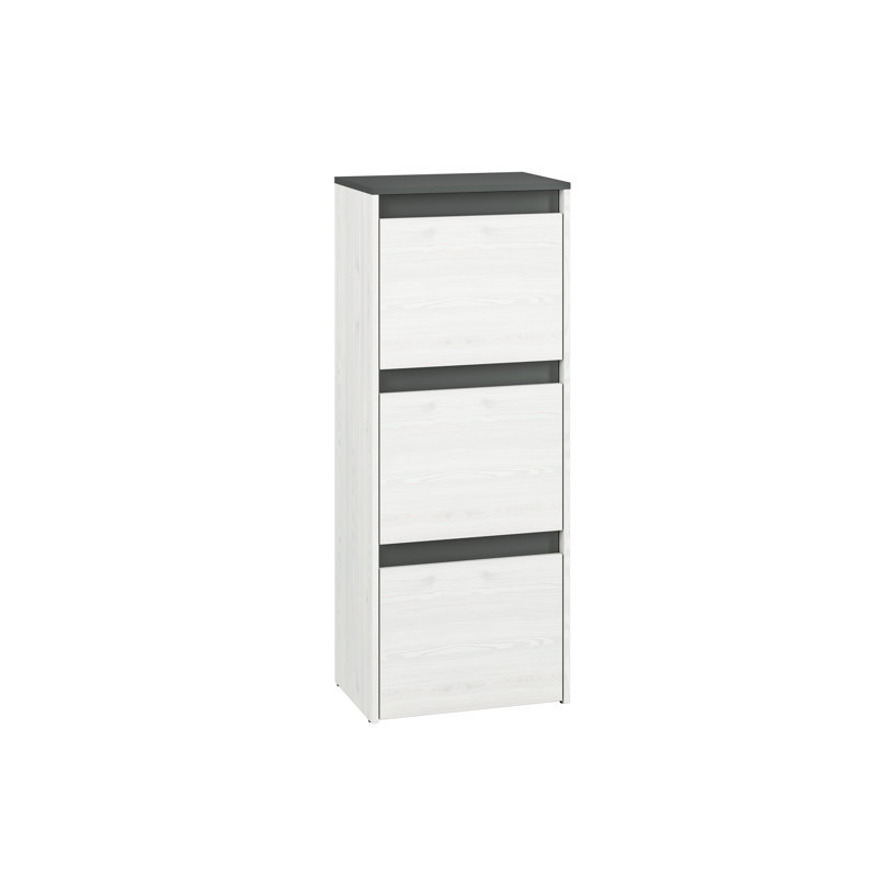 Azaneth 12 Pair Shoe Storage Cabinet