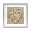 «Earthtone Clam Shell», reproduction encadrée sous verre, conception de June Erica Vess-106533218-106533220
