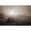 Misty Morning Sunrise-1681721532-1681721560-1705225444
