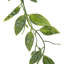 7.5cm Faux Ivy Plant in Pot