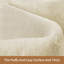 Machine Tufted Area Rug-1696776649