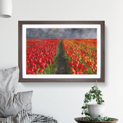 Field of Tulips - Framed Print