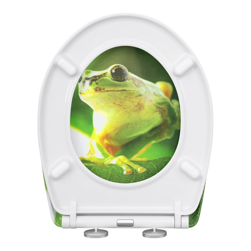 Toilet Seat, Soft Close O-Shape Loo Seat With Quick Release Function, 360° Adjustable Stainless Steel Hinges, Duroplast Top Mounting Toilet Lid, With Frog Printing