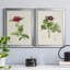 «Pretty Pink Botanicals II», ensemble de 2 impressions sur toile encadrées-1800022750-1800022749