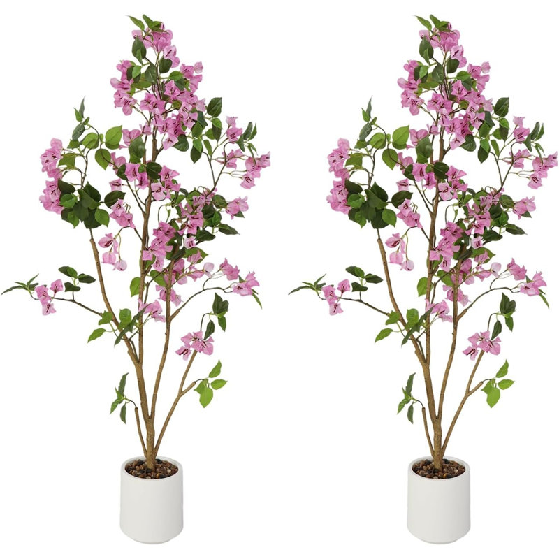 120cm Plant