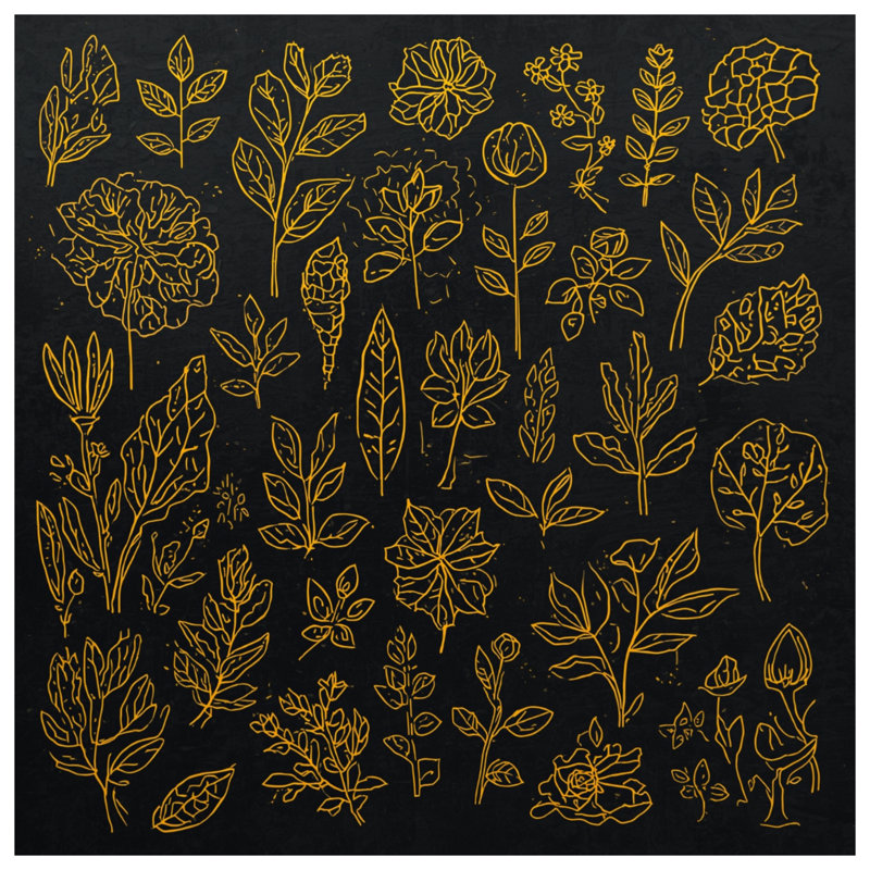 Édredon Botanical Illustration, Très grand lit