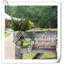 Vase mural Kalesia-275411952