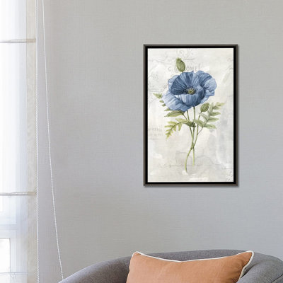«Blue Linen Poppy» par Carol Robinson - reproduction d'art