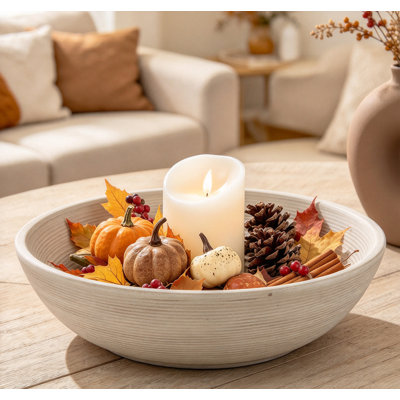 Bol décoratif rond en céramique fabriqué à la main de 10 pouces, bol à ferme rustique pour table basse