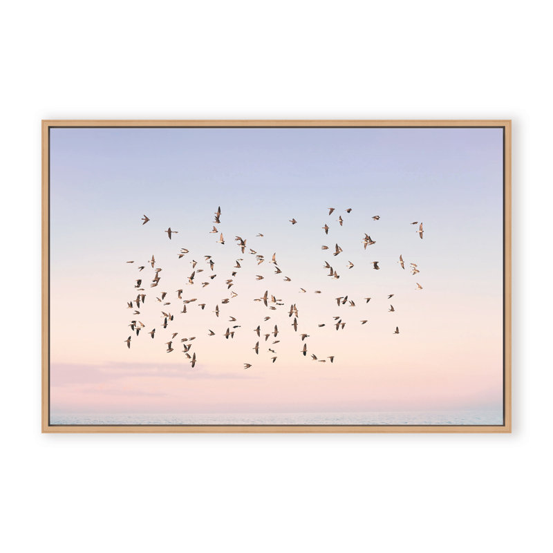Nature Inspired Sunset Flight by  - Picture Frame Photograph on Paper, Framed Canvas, Brown, 32" H x 48" W x 2.375" D