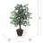 Artificial Variegated Ficus Series-137242058