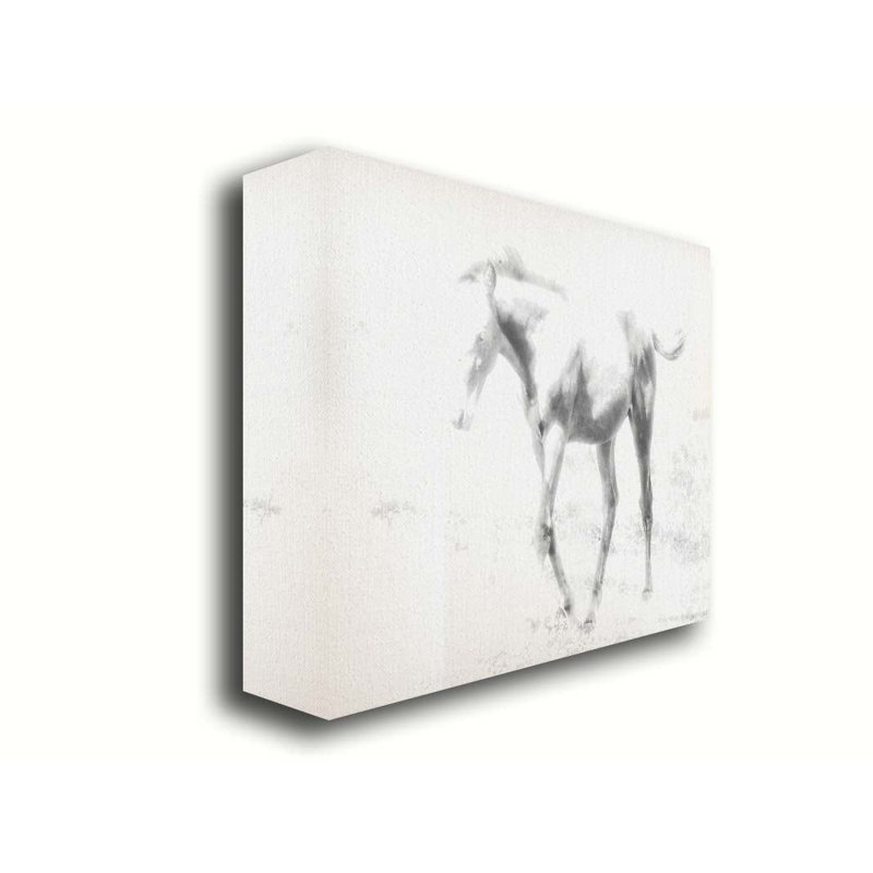 Poney dans un enclos par Hal Halli. Toile giclée sur toile tendue avec cadre flottant, H 32 po x l 40 po, Toile tendue