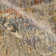 Serena Abstract Indoor Rug