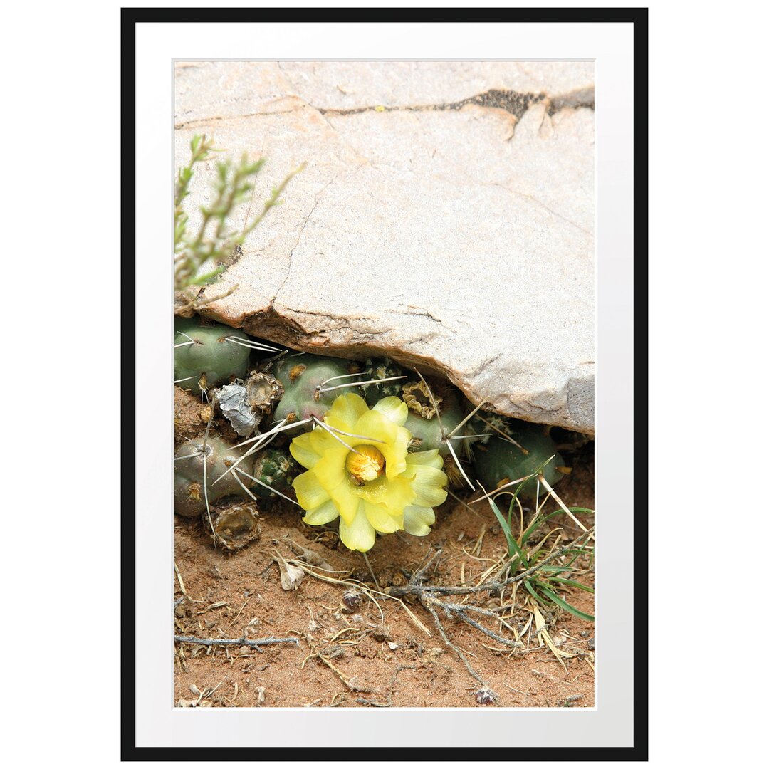 Gerahmtes Poster "Kakteen mit gelben Blüten