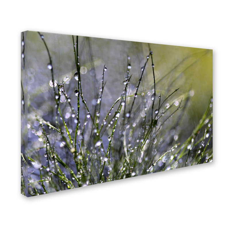 « spring matinée », reproduction de photo sur toile, H 12 po x l 19 po x P 2 po