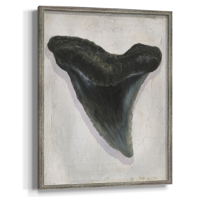 «Watercolor Sharks Tooth I», reproduction encadrée - bois massif, H 30 po x l 24 po