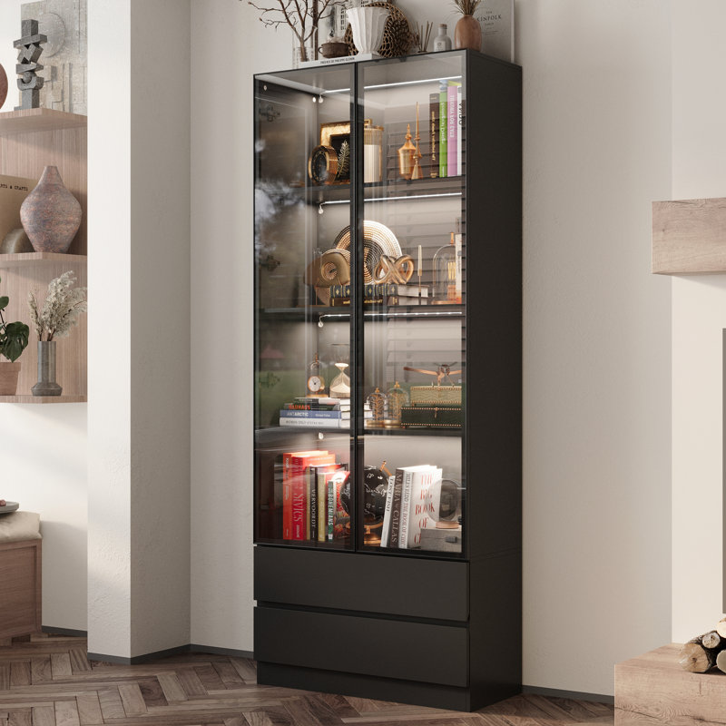 Display Cabinet With Adjustable Lights And Tempered Glass Door, Black