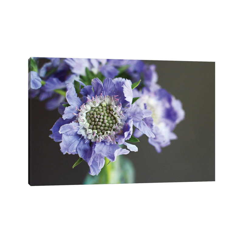 Purple Scabiosa 1 Piece Wrapped Canvas Wall Art, 66.04 cm H x 45.72 cm W x 3.175 cm D