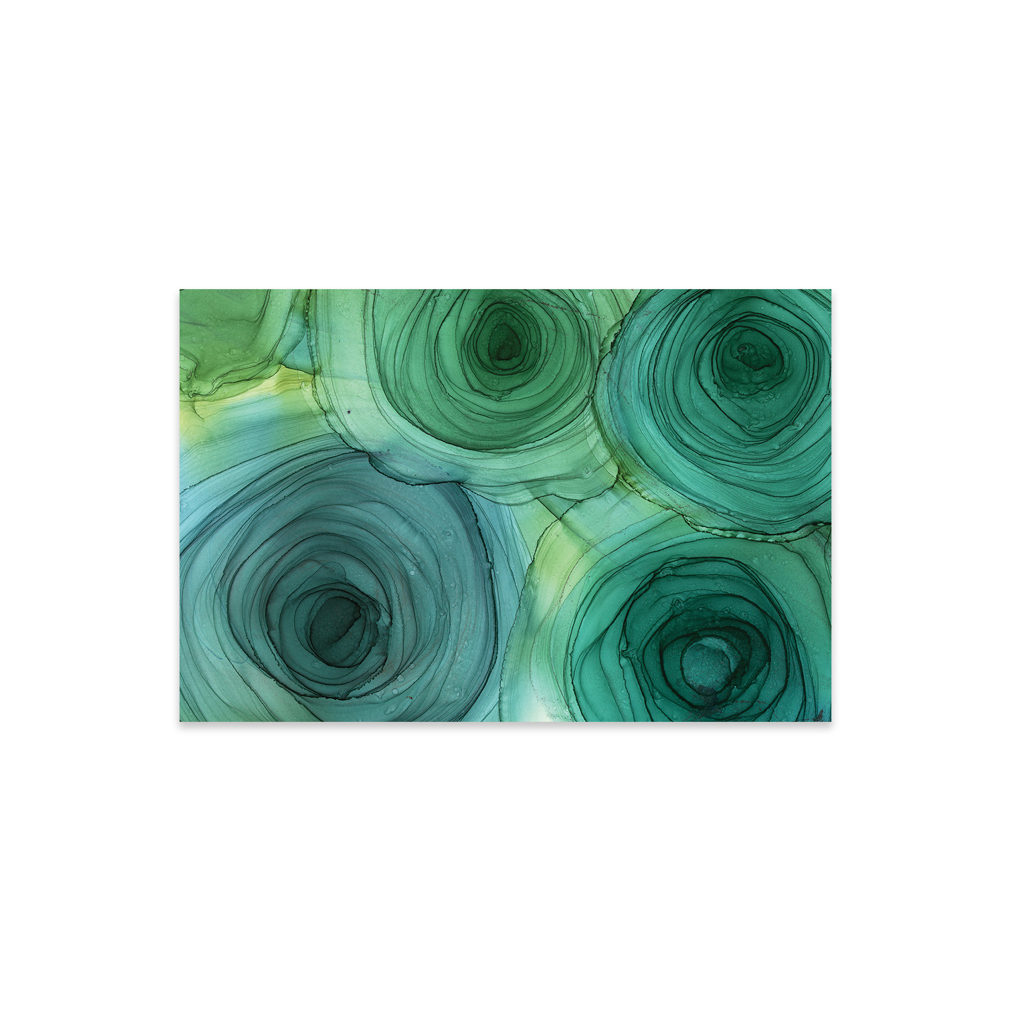 Greem Rose Print Wrought Studio Green Roses Print On Acrylic Glass - Wayfair Canada