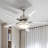 Modern Stainless Steel Silver Ceiling Fan-622825942